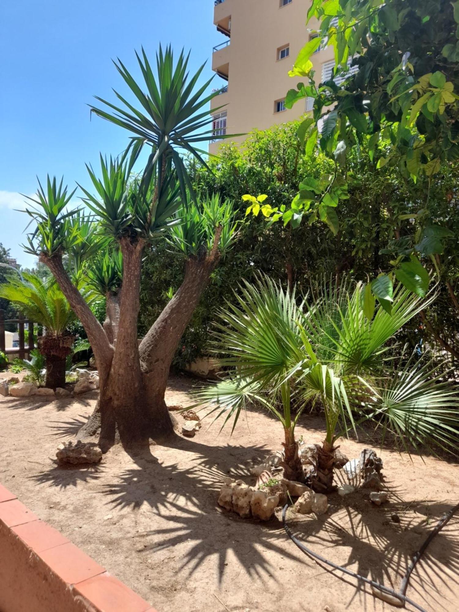 Apartamento Torremolinos Centro Beach Exterior foto